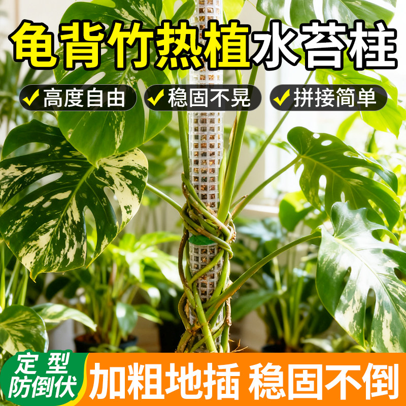 水苔柱爬藤植物专用新型加厚加粗图片