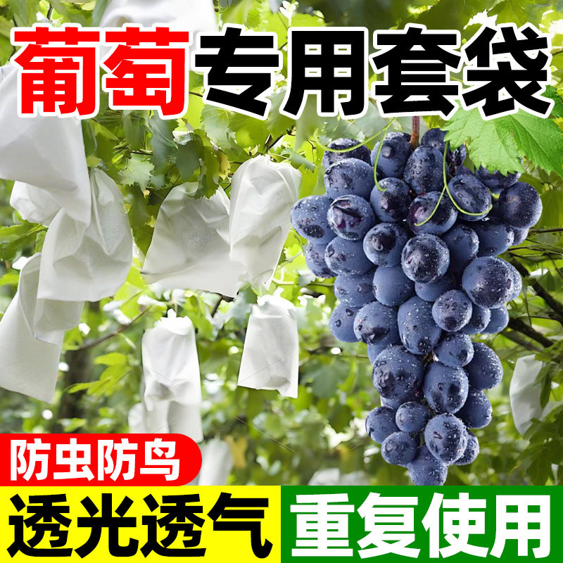 葡萄套袋专用袋防虫防鸟露天阳光玫瑰纸袋水果双层保护袋重复使用,农机/农具/农膜,水果套袋/果袋,淘宝优惠券,粉丝福利购,淘宝优惠卷