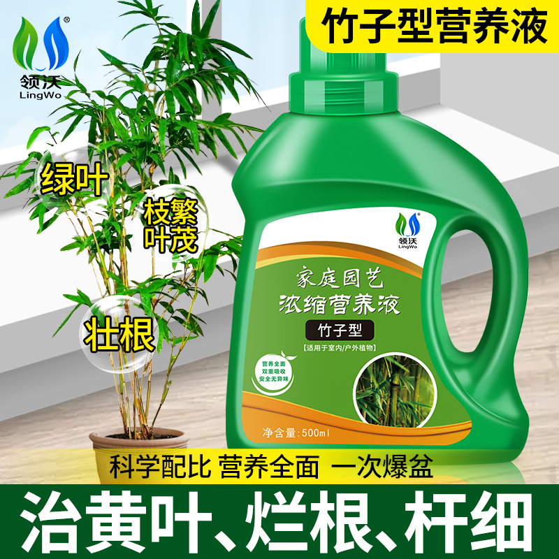 竹子营养液专用水培肥料预防叶子发黄烂根家用盆栽植物通用液体肥