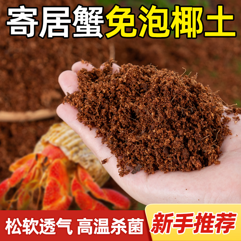 寄居蟹专用椰土乌龟冬眠爬宠通用