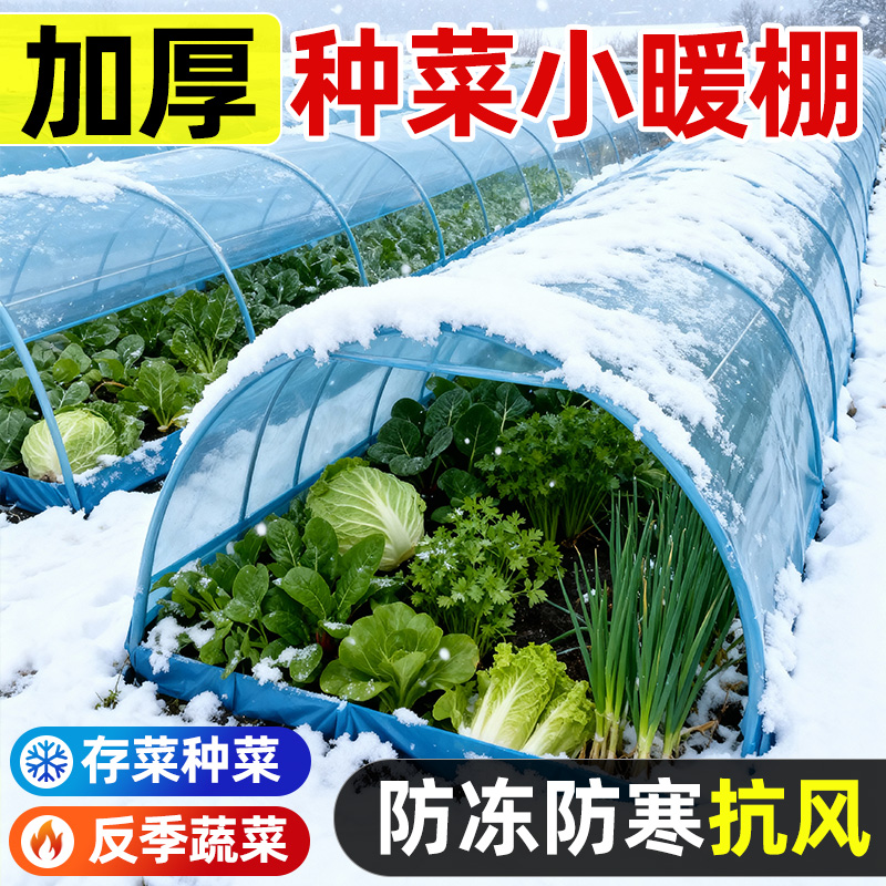 大棚钢管蔬菜种植菜园保温棚