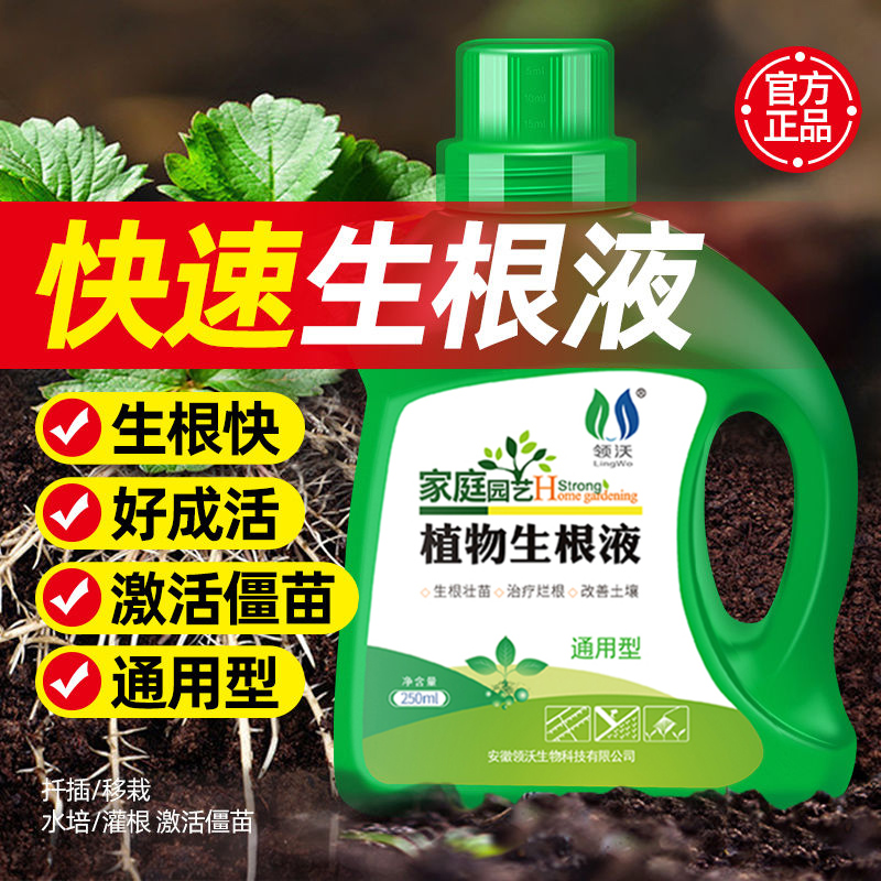 快速生根液移栽扦插生根植物通用