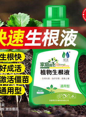 快速生根液移栽扦插生根水营养液植物通用绿植花卉多肉大树生根剂