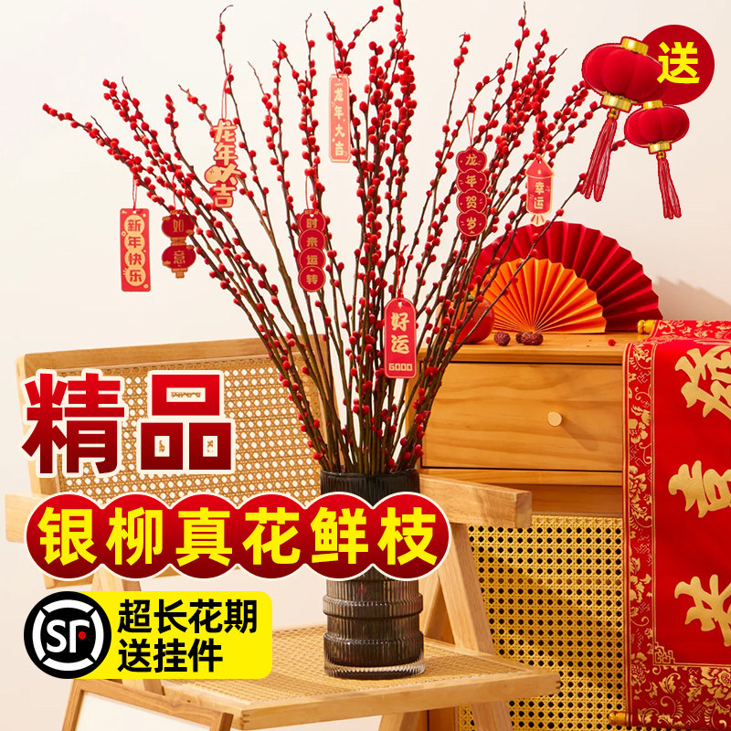 银柳真花鲜枝干花花束室内客厅阳台绿植摆件招财年宵花卉植物盆栽,鲜花速递/花卉仿真/绿植园艺,时令草本花卉,淘宝优惠券,粉丝福利购,淘宝优惠卷