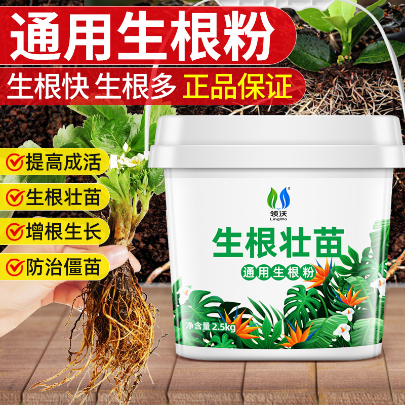 生根粉植物通用官方旗舰店养花肥