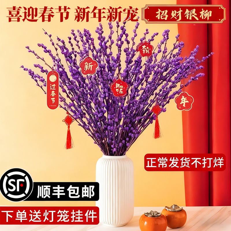 银柳真花鲜枝紫色年宵花卉年货