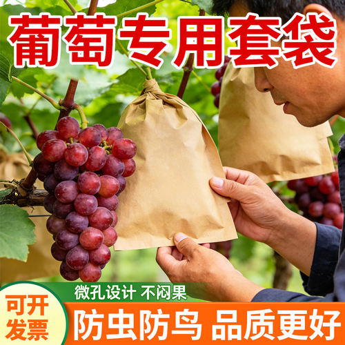 葡萄套袋水果专用防蚊蝇虫咬防鸟