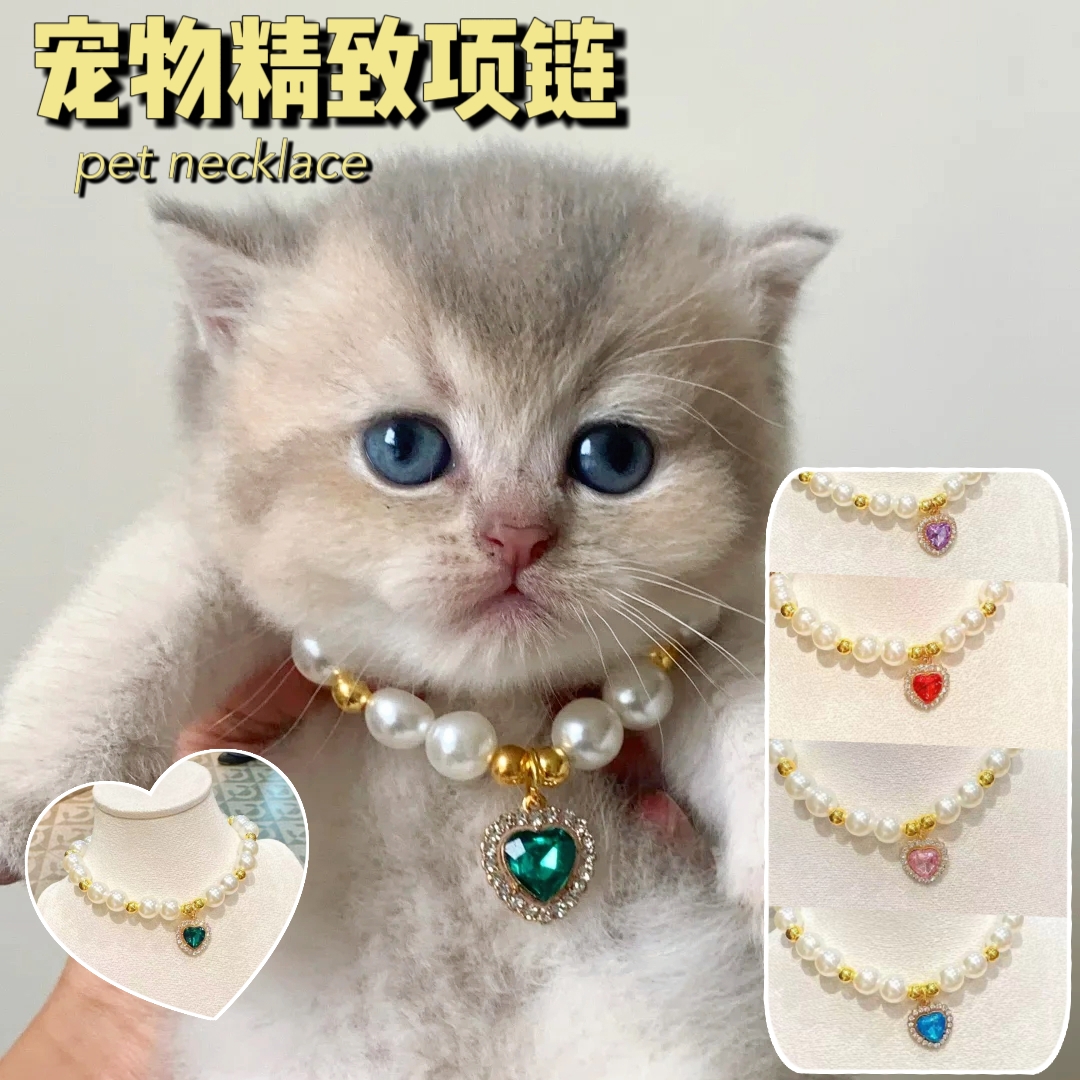 宠物狗狗猫咪彩色宝石珠光可爱珍珠项链脖圈时尚装饰品比熊泰迪犬