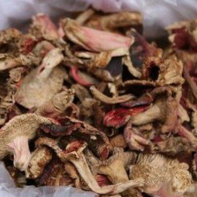 邵阳干蘑菇250G邵阳特