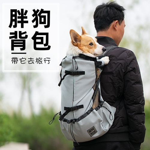 大型犬大狗背包价格 大型犬大狗背包图片 星期三