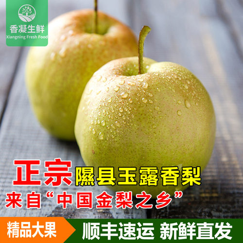 生鲜玉露香梨隰县玉露香梨