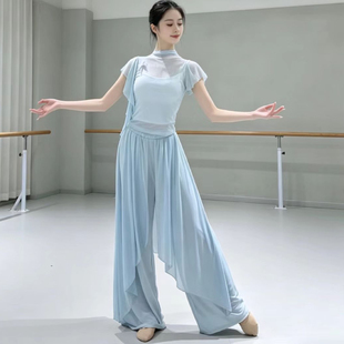 古典舞练功服套装女修身飘逸纱衣飘片舞蹈阔腿裤现代中国舞演出服