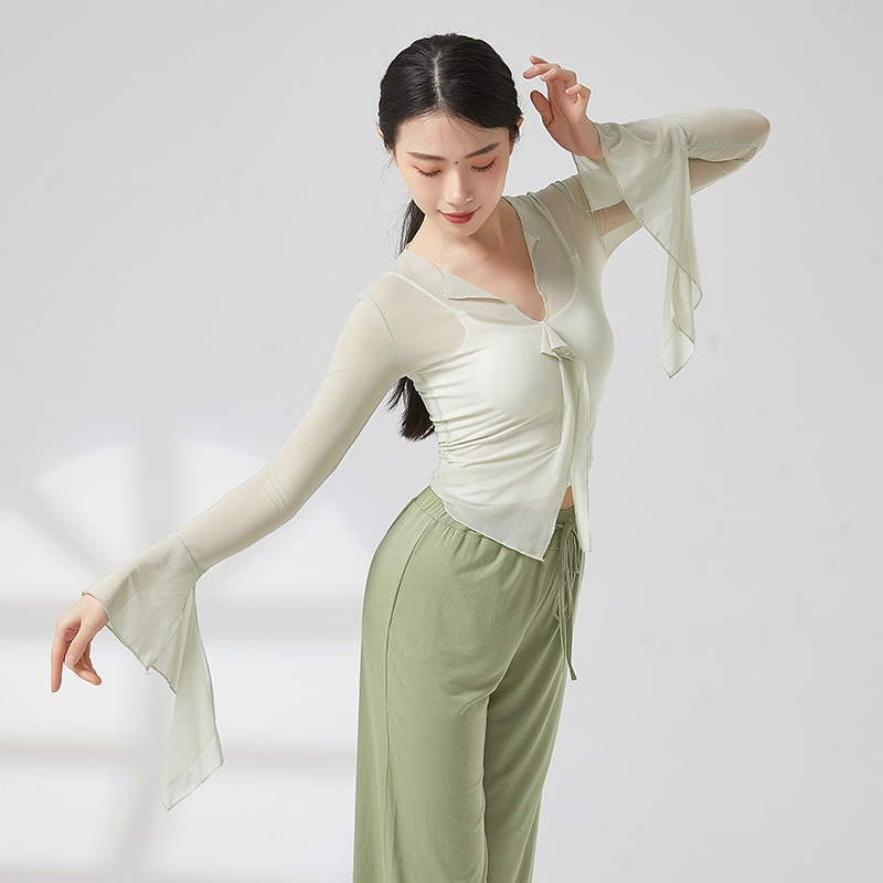 身韵纱衣古典舞服练功舞蹈服飘逸