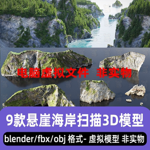 blender/maya/3dmax/c4d悬崖海岸岩石地形山体3d扫描模型fbx素材