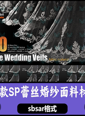 Substance Painter蕾丝面纱透明蕾丝婚纱面料材质球花纹 sp材质球