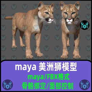 maya影视级写实美洲狮模型动物狮虎兽3D模型材质骨骼绑定面部控制