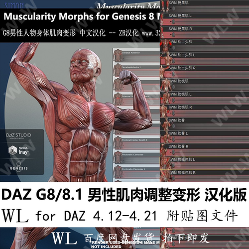 daz3d G8 8.1男性人物肌肉变形器插件肌肉调整带贴图daz汉化变形