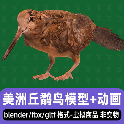 blender美洲丘鹬鸟写实鸟类小鸟动物骨骼3d模型动画FBXmaya 3dmax