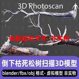 blender/3dmax倒下枯死松树枯萎树木树干树枝3d扫描模型8K贴图C4D