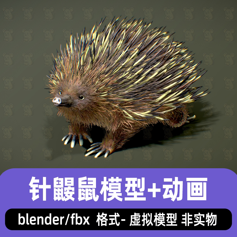 blender针鼹鼠写实哺乳动物3d模型骨骼绑定动画fbx 3dmax maya