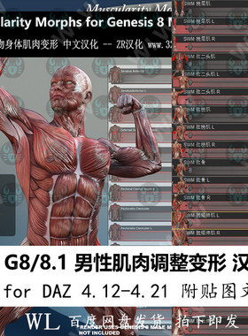daz3d G8 8.1男性模型肌肉变形器汉化 人物肌肉调整 贴图新品K146