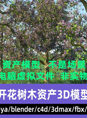 3dmax maya C4D blender影视级写实开发树木紫色花树资产3d模型