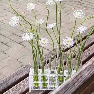 试管高雅轻奢风高级感玻璃花瓶鲜花水养水培花器客厅插花装 饰摆件