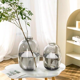 轻奢高级感透明玻璃花瓶简约水培吊钟雪柳马醉木水养鲜花客厅摆件