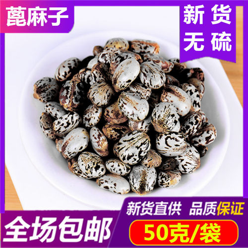 野生蓖麻籽种子中药材