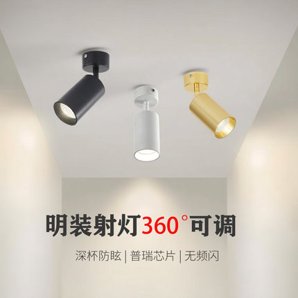 led明装射灯可调角度单个创意家用背景墙吸顶式聚光照画金色射灯