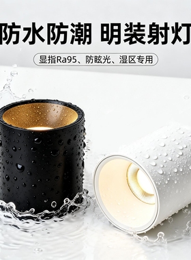 led明装防水射灯家用浴室卫生间天花户外店铺门头cob明装吸顶筒灯
