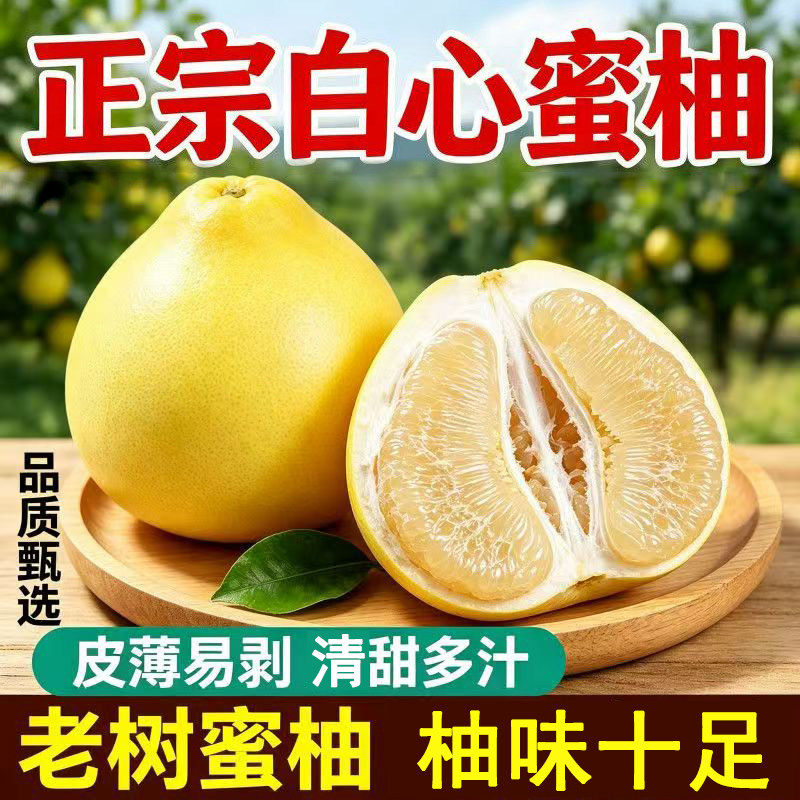 正宗福建平和老树白心蜜柚新鲜白玉柚子清甜多汁当季水果