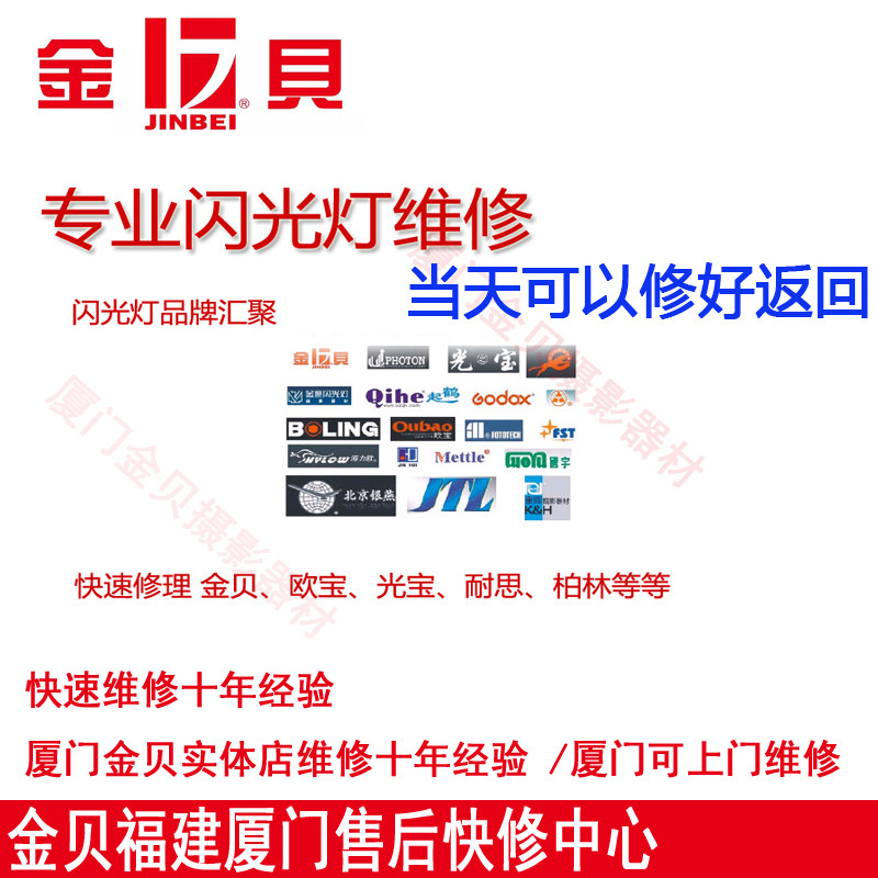 金贝神牛柏灵耐思金鹰图片