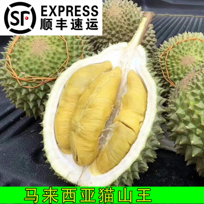 新鲜马来西亚d197液氮榴莲