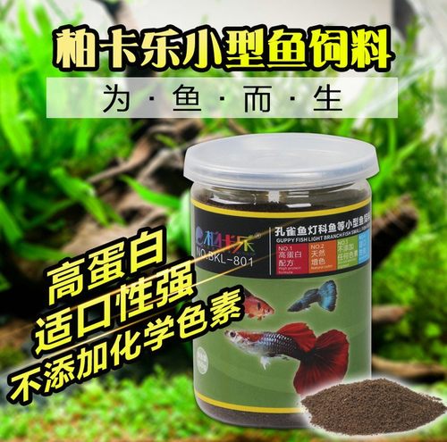 鱼苗开口小型鱼孔雀鱼灯鱼天使鱼