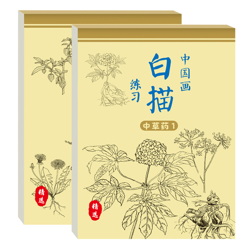 中草药国画入门临摹描摹涂色本小学生线描画手绘描幕本儿童绘画启蒙