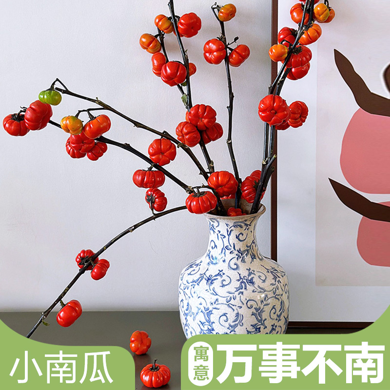 肉乎乎可爱的小南瓜鲜切枝鲜花