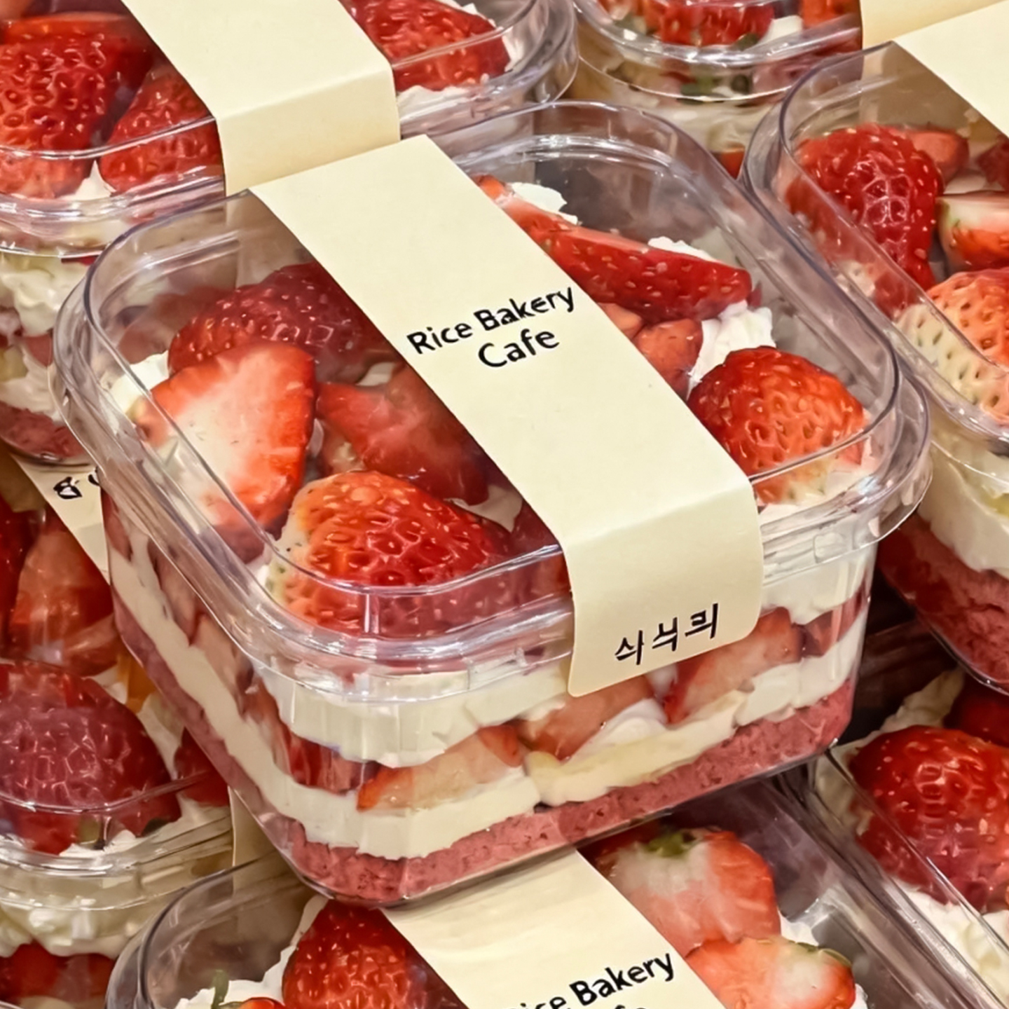 瑞丽新提拉米苏盒子草莓蓝莓蛋糕