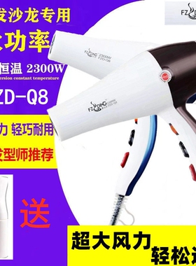 发之鼎Q8变频大功率发廊专用吹风音速干电吹风机发型师专业风筒静