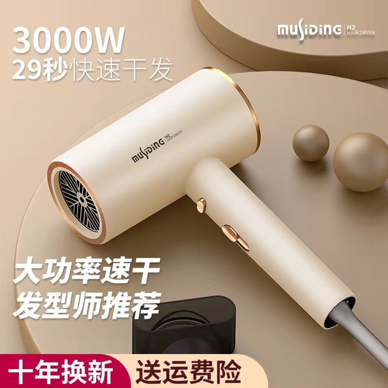 德系电吹风机家用负离子护发大风