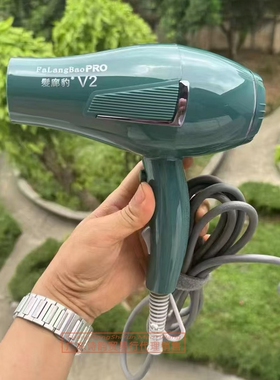 发廊豹V2大功率理发店专用速干大