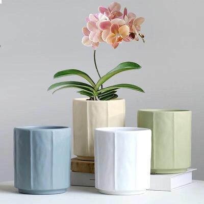北欧ins风简约陶瓷花盆蝴蝶兰