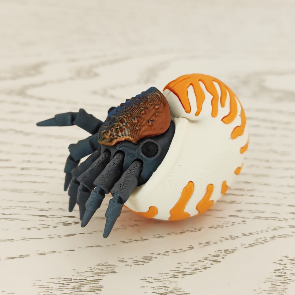 3D打印仿真海洋软体动物鹦鹉螺模型玩具海螺手办摆件玩偶认知礼物