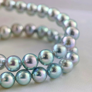 日本akoya海水珍珠项链天然银灰色真多麻色电蓝光真多麻蓝玫瑰