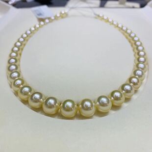 日本真科研证书白蝶皇后queen香槟金温暖南洋金珠9-10.9mm项链