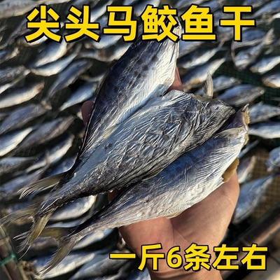 北海尖头马鲛鱼干鲅鱼干马交马鲛鱼片梅香咸鱼干去头海鲜水产干货