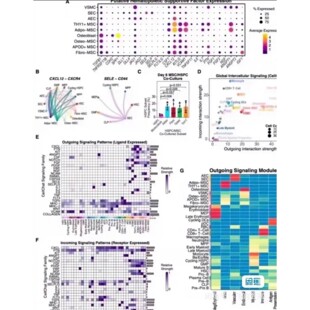 代谢组转录组和蛋白组学数据分析 关联分析