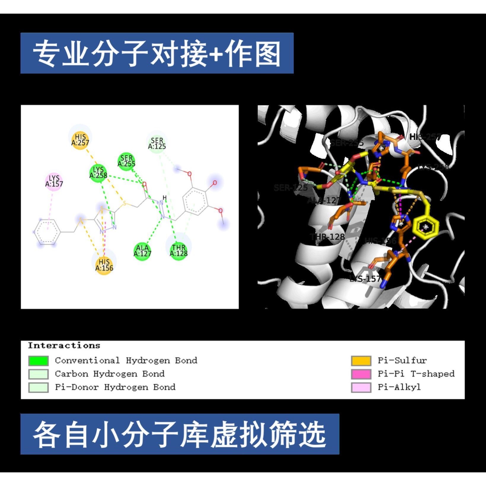 分子对接 药物虚拟筛选Pymol作图autodock vina DS金属酶柔性对接