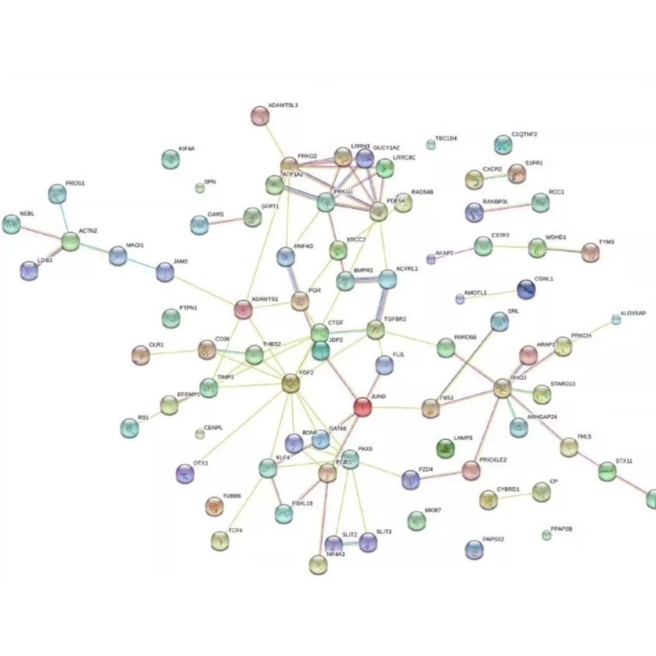 生信分析可做医学评职称GBD数据库gbd挖掘gbd分析sci等多方面分析