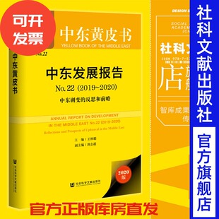 2020 ：中东剧变 反思和前瞻 现货 社会科学文献出版 No.22·2019 中东黄皮书 社202012 中东发展报告